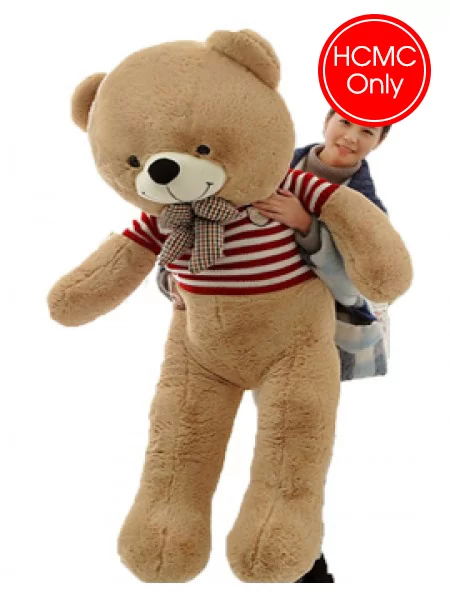 Send Big Giant Teddy Bear to Your Dear one In Vietnam Online